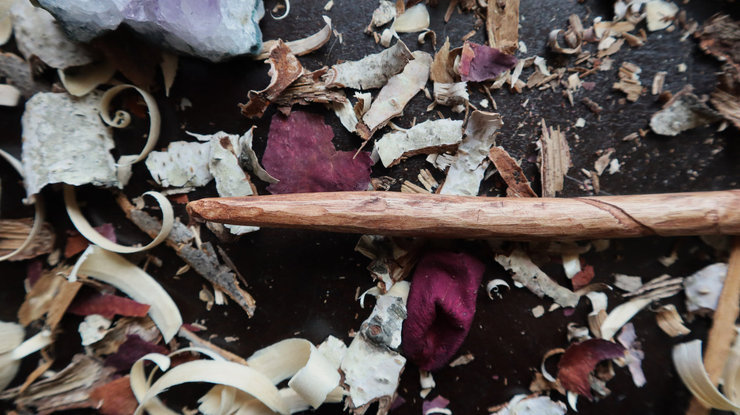 Fallen Branch Spiral Wand