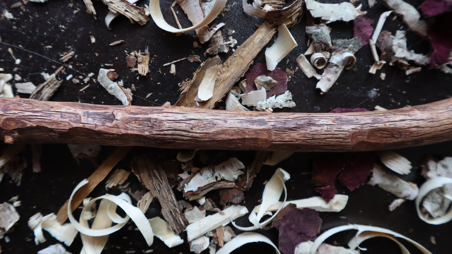 Birch Wood Wand