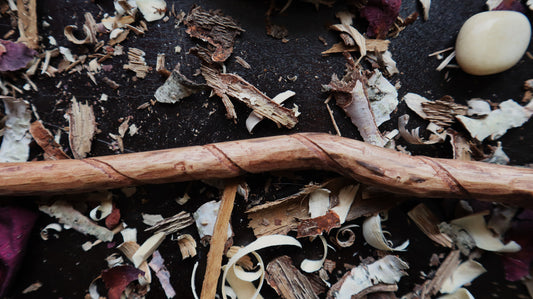 Fallen Branch Spiral Wand
